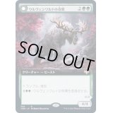 (FOIL)(フルアート)ウルヴェンワルドの奇異/Ulvenwald Oddity《日本語》【VOW】