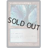 [EX+](旧枠仕様)ダークウォーターの地下墓地/Darkwater Catacombs《日本語》【BRC】