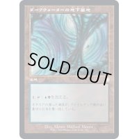 [EX+](旧枠仕様)ダークウォーターの地下墓地/Darkwater Catacombs《日本語》【BRC】