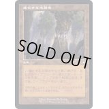 [EX+](旧枠仕様)進化する未開地/Evolving Wilds《日本語》【BRC】