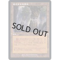 (旧枠仕様)進化する未開地/Evolving Wilds《日本語》【BRC】
