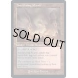 [EX+](旧枠仕様)燻る湿地/Smoldering Marsh《英語》【BRC】