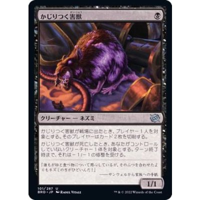 かじりつく害獣/Gnawing Vermin《日本語》【BRO】