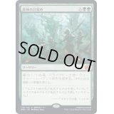[EX](FOIL)森林の目覚め/Awaken the Woods《日本語》【BRO】