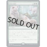 (FOIL)歴史の彼方/Fade from History《日本語》【BRO】