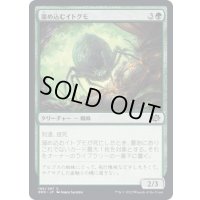 (FOIL)溜め込むイトグモ/Hoarding Recluse《日本語》【BRO】