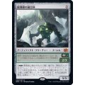 [EX+](FOIL)根導線の融合体/Rootwire Amalgam《日本語》【BRO】