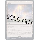 [EX+]爆発域/Blast Zone《日本語》【BRO】
