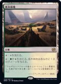 [EX]低木林地/Brushland《日本語》【BRO】