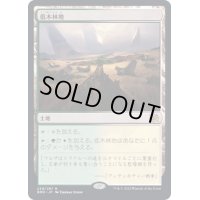 [EX+]低木林地/Brushland《日本語》【BRO】