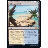 要塞化した海岸堡/Fortified Beachhead《日本語》【BRO】