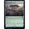 (FOIL)自然の聖域、アルゴス/Argoth, Sanctum of Nature《日本語》【BRO】