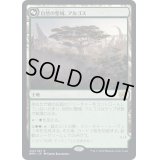 [EX+](FOIL)自然の聖域、アルゴス/Argoth, Sanctum of Nature《日本語》【BRO】