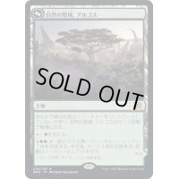 [EX+]自然の聖域、アルゴス/Argoth, Sanctum of Nature《日本語》【BRO】