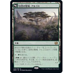 画像1: [EX+](FOIL)自然の聖域、アルゴス/Argoth, Sanctum of Nature《日本語》【BRO】