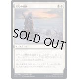 (FOIL)災厄の痕跡/Calamity's Wake《日本語》【BRO】