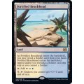 (FOIL)要塞化した海岸堡/Fortified Beachhead《英語》【BRO】