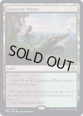 (FOIL)ラノワールの荒原/Llanowar Wastes《英語》【BRO】