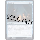 (FOIL)厳しい授業/Stern Lesson《日本語》【BRO】