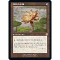 [EX+](旧枠仕様)金粉の水蓮/Gilded Lotus《日本語》【BRR】