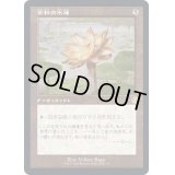 (FOIL)(旧枠仕様)金粉の水蓮/Gilded Lotus《日本語》【BRR】
