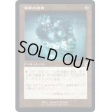 [EX+](旧枠仕様)液鋼の塗膜/Liquimetal Coating《日本語》【BRR】