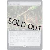 (FOIL)(フルアート)ティタニアの杖/Staff of Titania《日本語》【BRC】