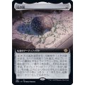 (FOIL)(フルアート)石の脳/The Stone Brain《日本語》【BRO】