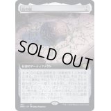 [EX](FOIL)(フルアート)石の脳/The Stone Brain《日本語》【BRO】