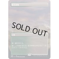 [EX](フルアート)低木林地/Brushland《日本語》【BRO】