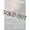 [EX+](FOIL)(フルアート)ラノワールの荒原/Llanowar Wastes《日本語》【BRO】