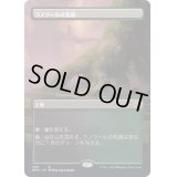 [EX+](FOIL)(フルアート)ラノワールの荒原/Llanowar Wastes《日本語》【BRO】