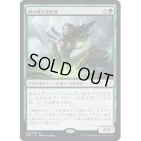 [EX]根の道の浄化師/Rootpath Purifier《日本語》【BRC】
