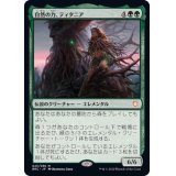 自然の力、ティタニア/Titania, Nature's Force《日本語》【BRC】
