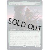 (FOIL)(フルアート)自然の力、ティタニア/Titania, Nature's Force《日本語》【BRC】