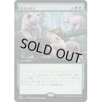 [EX+](フルアート)歴史の彼方/Fade from History《日本語》【BRO】