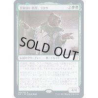 [EX+]忍耐強い教授、ラクサ/Ruxa, Patient Professor《日本語》【Commander 2021】