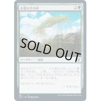 木霊の手の内/Kodama's Reach《日本語》【Commander 2021】