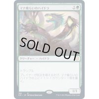 マナ喰らいのハイドラ/Managorger Hydra《日本語》【Commander 2021】
