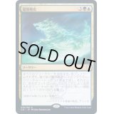 [EX+]超簡略化/Oversimplify《日本語》【Commander 2021】