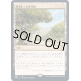 [EX+]風変わりな果樹園/Exotic Orchard《日本語》【Commander 2021】