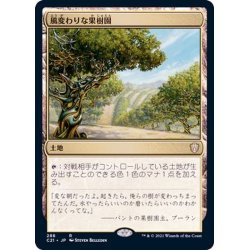 画像1: 風変わりな果樹園/Exotic Orchard《日本語》【Commander 2021】