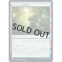 ラノワールの再生地/Llanowar Reborn《日本語》【Commander 2021】