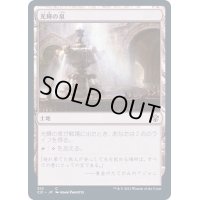 [EX+]光輝の泉/Radiant Fountain《日本語》【Commander 2021】
