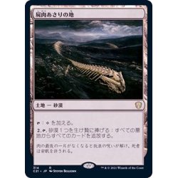 画像1: [EX+]屍肉あさりの地/Scavenger Grounds《日本語》【Commander 2021】