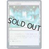 [EX+]シミックの成長室/Simic Growth Chamber《日本語》【Commander 2021】