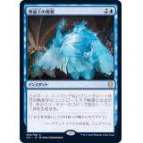 理論上の複製/Theoretical Duplication《日本語》【Commander 2021】