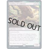[EX+]コルフェノールの若木/Sapling of Colfenor《英語》【Commander 2021】