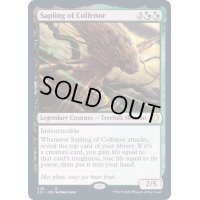 コルフェノールの若木/Sapling of Colfenor《英語》【Commander 2021】