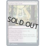 [EX+]ゴルガリの腐敗農場/Golgari Rot Farm《英語》【Commander 2021】